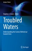 Troubled Waters (eBook, PDF)