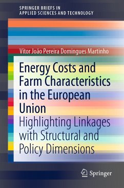 Energy Costs and Farm Characteristics in the European Union (eBook, PDF) - Martinho, Vítor João Pereira Domingues