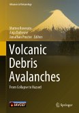 Volcanic Debris Avalanches (eBook, PDF)