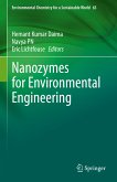 Nanozymes for Environmental Engineering (eBook, PDF)