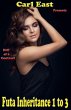 Futa Inheritance 1 to 3 - Bild 1
