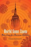 World Gone Zoom: Notes from the American Epicenter