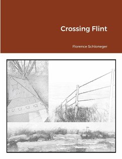 Crossing Flint - Schloneger, Florence