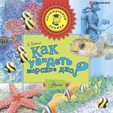 Kak uvidet' morskoe dno? (MP3-Download)