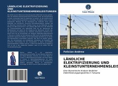 LÄNDLICHE ELEKTRIFIZIERUNG UND KLEINSTUNTERNEHMENSLEISTUNGEN - Andrew, Felician