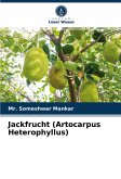 Jackfrucht (Artocarpus Heterophyllus)
