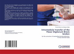 Intramedular transfer of the Flexor Digitorum Brevis tendon