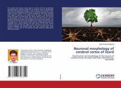 Neuronal morphology of cerebral cortex of lizard