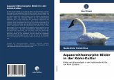 Aquaornithomorphe Bilder in der Komi-Kultur