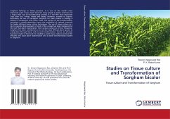 Studies on Tissue culture and Transformation of Sorghum bicolor