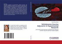 Schistosome Vaccine Adjuvants in Experimental Research