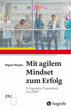 Mit agilem Mindset zum Erfolg - Stopka, Regine