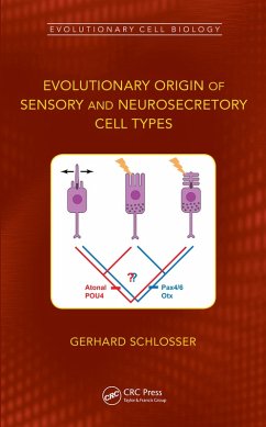 Evolutionary Origin of Sensory and Neurosecretory Cell Types (eBook, ePUB) - Schlosser, Gerhard