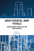 Great Potential, Many Pitfalls (eBook, PDF)