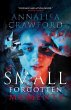 Small Forgotten Moments (eBook, ePUB) - Bild 1