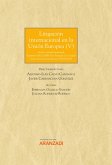 Litigación Internacional en la Unión Europea V (eBook, ePUB)