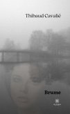 Brume (eBook, ePUB)