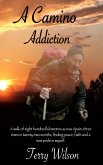 A Camino Addiction (eBook, ePUB)