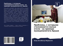 Problemy, s kotorymi stalkiwaütsq malye oteli - na primere municipaliteta Arushi - Marealle, Enid Aechibold