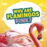 Why Are Flamingos Pink? - Bild 1