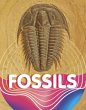 Fossils - Bild 1