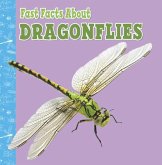 Fast Facts About Dragonflies Fast Facts About Dragonflies