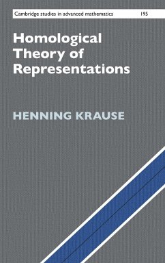 Homological Theory of Representations - Krause, Henning (Universitat Bielefeld, Germany)