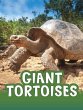 Giant Tortoises - Bild 1