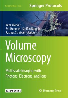 Volume Microscopy