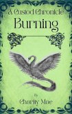 The Custod Chronicles Burning (eBook, ePUB)
