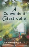 A Convenient Catastrophe (The Sea Island Series, #1) (eBook, ePUB)