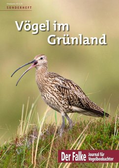 Vögel im Grünland