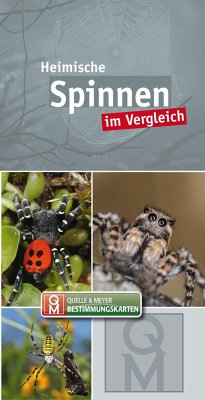Cover Heimische Spinnen