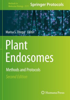 Plant Endosomes