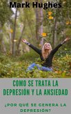 Como Se Trata La Depresión Y La Ansiedad: ¿Por qué se genera la depresión? (eBook, ePUB)