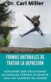Formas Naturales De Tratar La Depresión: Descubre qué soluciones naturales pueden ayudarte con los cambios de humor (eBook, ePUB)