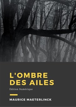 Cover L'ombre des ailes (eBook, ePUB)