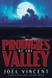 Prodigies of the Valley (eBook, ePUB) - Bild 1