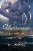 Hurricane (Stormy Weather, #3) (eBook, ePUB) Hurricane (Stormy Weather, #3) (eBook, ePUB)
