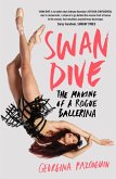 Swan Dive (eBook, ePUB)