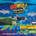 Folge 18: Sprichst du Delfinisch? / Die Tortuga lernt schwimmen! (Das Original-Hörspiel zur TV-Serie) (MP3-Download)
