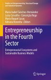 Entrepreneurship in the Fourth Sector (eBook, PDF)