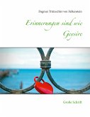 Erinnerungen sind wie Geysire (eBook, ePUB)