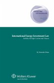 International Energy Investment Law (eBook, ePUB)