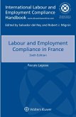 Labour and Employment Compliance in France (eBook, ePUB)