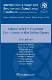 Labour and Employment Compliance in the United States (eBook, ePUB)
