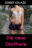 Die neue Dorfhure (eBook, ePUB)