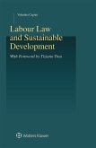 Labour Law and Sustainable Development (eBook, ePUB)