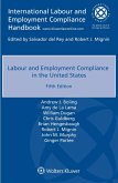 Labour and Employment Compliance in the United States (eBook, ePUB)