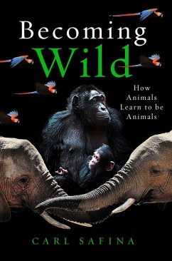 Becoming Wild (eBook, ePUB) - Safina, Carl